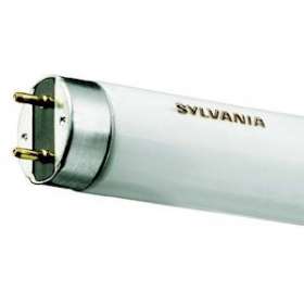 T8 Luxline Plus 25W 840 818mm G13|Sylvania-SYL0000878