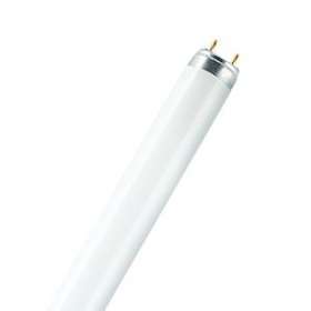 OSRAM LUMILUX DE LUXE T8 58W/954 G13|Ledvance-OSR018270