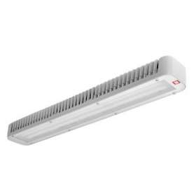 Koa Line Str/Gl 60W 40K-94|Performance in lighting-PRI06247694