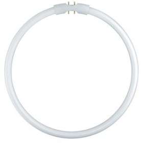 OSRAM LUMILUX T5 FC 55W/840 2GX13|Ledvance-OSR528588