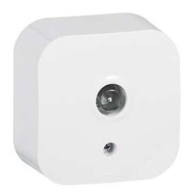 Prise TV simple saillie Profil Eco - Blanc|Arnould-ARD54206