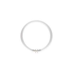 MASTER TL5 Circular 40W/840|Philips Signify-PHI642233