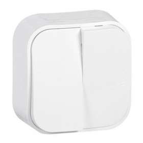 Double interrupteur ou va-et-vient saillie Profil Eco - Blanc|Arnould-ARD54201