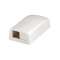 Surface Mount Box, 2 Port, Off White