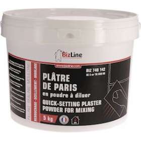 Plâtre de Paris à prise rapide poudre à diluer en seau (5 kg)|Bizline-BIZ740142